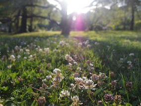 花卉地理条件与花卉园艺师职业解析电子版花卉园艺师资格证怎么考